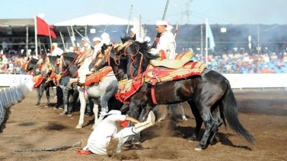 أسفي.. مص.رع فارس إثر سقوطه من صهوة جواده في موسم التبوريدا بجماعة العمامرة