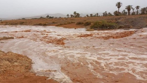 انجراف حافلة للركاب بفعل السيول على مستوى واد طاطا ومصرع شخصين و 14 في عداد المفقودين